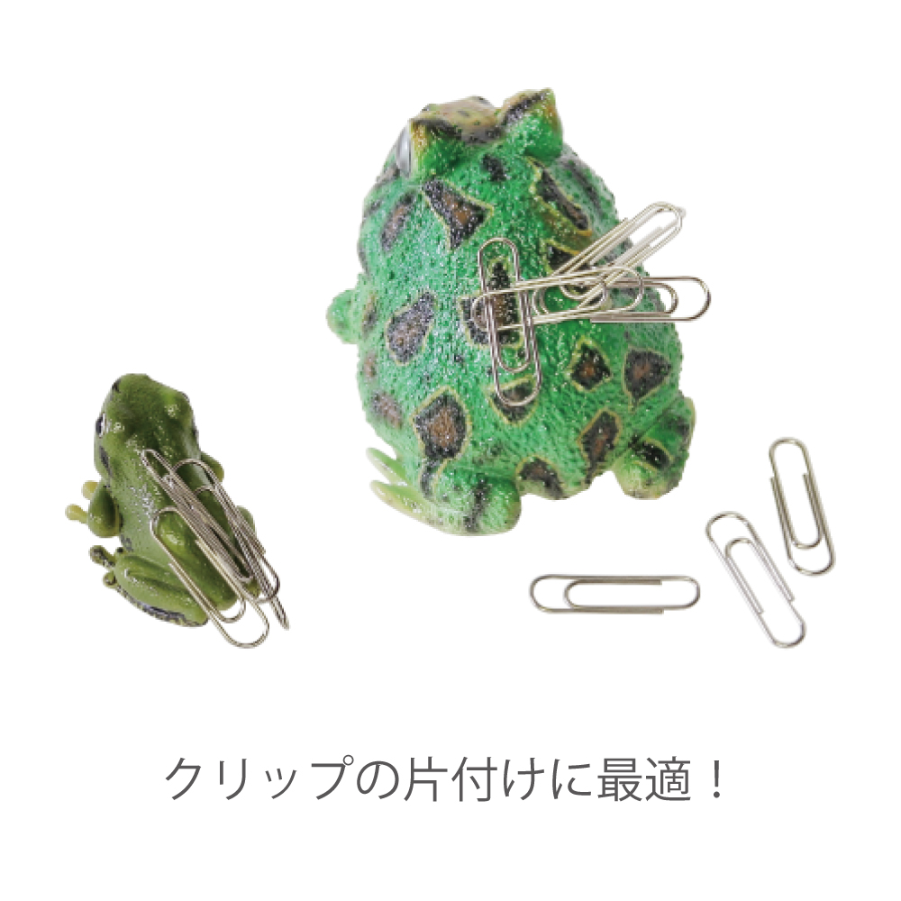 REPTILES MAG】FROG SERIES | magnet Inc.